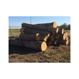 Direct Supplier of Wholesale <b>Oak</b> Timber <b>LOGS</b> Mangroove Hard Wood Firewood for Energy Round <b>Oak</b> Wood <b>Logs</b> at Competitive Price - Product Image 5