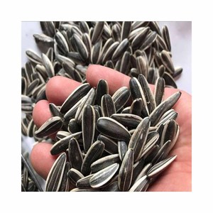 เมล็ดทานตะวันถั่วเมล็ดทานตะวัน - Product Image 3