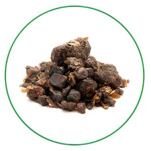 Poudre d'extrait de Guggul de qualité supérieure en gros Guggulsterones 2.5% 10% poudre d'extrait de plantes - Product Image 2