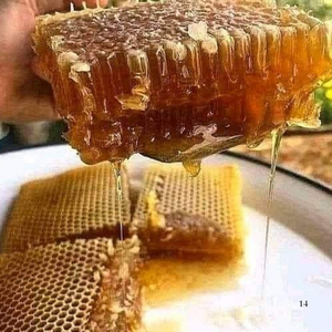 Nid d'abeille pur du Vietnam/100% brut, naturel, douceur de haute qualité/Mme Jessi - Product Image 4