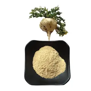 Chất lượng hàng đầu tinh khiết và thảo dược tự nhiên Maca chiết xuất từ rễ bột với giá bán buôn mua isar quốc tế