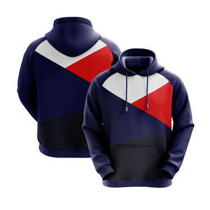 Sweats à capuche pour hommes poids lourd 100% coton broderie personnalisée Logo haute qualité Double couche en gros personnalisé nouvelle mode - Product Image 1