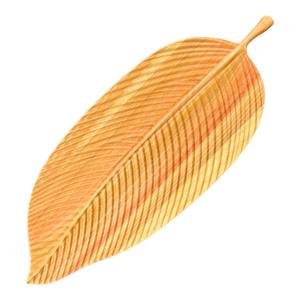 Ensemble de Plats d'Alimentation pour Bébé en Bois Écologique Logo Gravé Personnalisé Plateaux en Bois Dur Naturel pour Service de Nourriture Biologique - Product Image 1