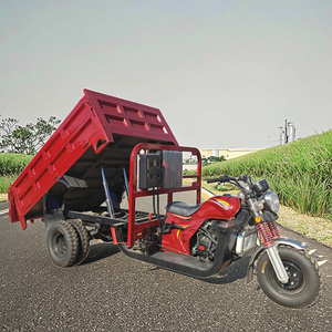 Haute Qualité Vente Chaude Nouveau <span class=keywords><strong>Meilleur</strong></span> Moteur king Powered Tricycle Cargo Tricycles Motorisés <span class=keywords><strong>Essence</strong></span> 250cc 5 Roue - Product Image 2