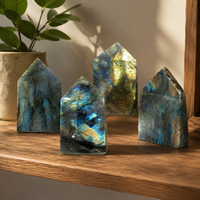 Tour de Labradorite à face large, pointe de cristal naturel polie, pour la décoration intérieure, la collection et les cadeaux