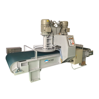 Machine de meulage à deux têtes, Machine de meulage de pierre à haute efficacité pour la pierre de marbre et de granit