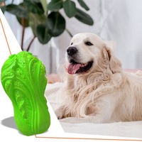 Jouets à mâcher pour chiens, brosse à dents souple en TPR pour chiots, jouets interactifs pour chiens, jouets à mâcher pour animaux de compagnie, ensembles dentaires pour chiens en gros