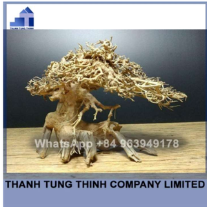 Bonsaï en bois flotté fait main, best-seller, décoration d'aquarium, forme irrégulière, pour aquarium en acier inoxydable, fabriqué au Vietnam - Product Image 5