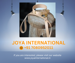 Conjunto de Collar y correa para perro, 38mm de ancho, Natural - Product Image 2