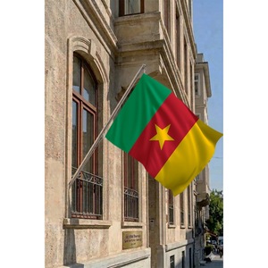 Mástil telescópico de 3x5 pies para bandera de Camerún, montado en pared, de aluminio y poliéster con impresión digital, para banderas de agencias de viajes y seguros - Product Image 2