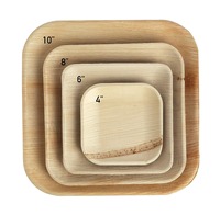 Assiettes Areca jetables de qualité d'exportation indienne pour servir les aliments du fabricant indien à un prix abordable
