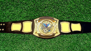 Vente en gros OEM/ODM personnalisé 4MM d'épaisseur en cuir premium ceinture de championnat de lutte et de boxe ceinture lourde - Product Image 1