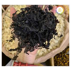 DRIED SARGASSUM SEAWEED VIETNAM ORIGIN FOR FOOD PROCESSING TEA BLENDS AND BULK WHOLESALE USE - Product Image 3