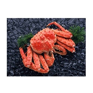 Venta al por mayor de cangrejo real rojo vivo/congelado de la mejor calidad a precio económico para exportación mundial - Product Image 1