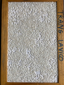 ติมอร์-ลิสเตนำเข้าข้าวขาวสดจากเวียดนาม |   ข้าวนำเข้าจากติมอร์ เลสเต ข้าวญี่ปุ่นหอมมะลิเมล็ดยาว - Product Image 6