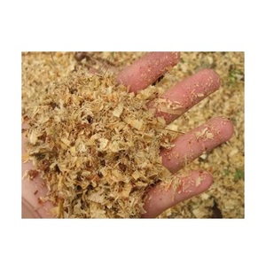 Surtidor al por mayor de virutas de madera para el lecho avícola/aserrín de madera de pino cantidad a granel lista para exportación - Product Image 5