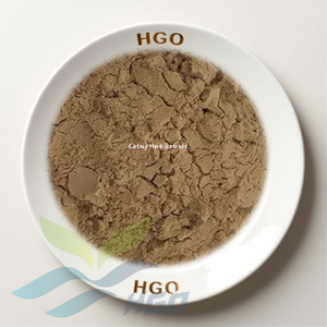 โรงงาน HGO จัดจำหน่ายโดยตรง สารสกัดจากแคทนิปแท้บริสุทธิ์ เกรดอาหาร อัตราส่วนการสกัด 10:1 - Product Image 1