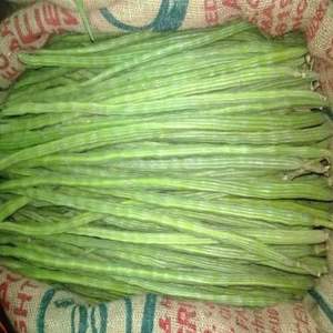 Légumes frais biologiques de qualité supérieure en vente - Product Image 2