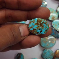 76 pièces de turquoise verte naturelle, taille cabochon ovale en forme de poire de 19 mm à 33 mm, 2495 carats, lot Iroc Sales, 240 $ US