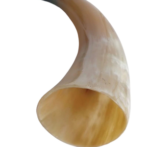 Corne à boire naturelle Viking de haute qualité polie écologique en corne de buffle Design animal - Product Image 1