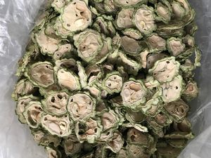 TÉ HERBAL DE MELÓN AMARO NATURAL PARA EL SÚCULO SANGUÍNEO Y SOPORTE DE DESINTOXICACIÓN - Product Image 2