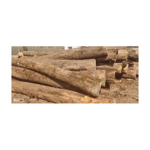 Pine Wood <b>Logs</b> Bulk for Timber Raw Materials Cheap Pine Wood <b>Logs</b> Timber Wood <b>Logs</b> Top Quality Kiln Dried Firewood - Product Image 6