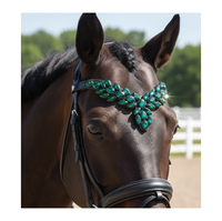 Bandeau de tête en cuir de cheval de haute qualité, fait main, toutes tailles, avec cristaux et strass méga brillants, en polaire et néoprène, pour l'entretien du cheval et la selle