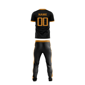 Uniformes d'équipe de cricket pour hommes avec logo personnalisé, 100% polyester, séchage rapide, respirant, service personnalisé OEM/ODM pour les clubs - Product Image 4