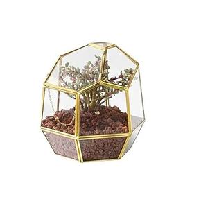 Terrarium en verre d'excellente qualité pour décoration de salon ou de salle à manger Article Terrarium en verre suspendu. - Product Image 2