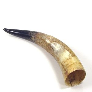 Cabeza de vaca hecha a mano de alta calidad con cuerno de lujo Animal único Decoración para el hogar Técnica pulida Precio al por mayor - Product Image 1