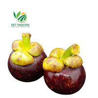 Vietnam Verse Mangosteen/Hoogwaardig Standaardfruit