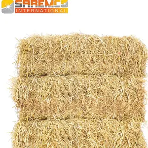 Wholesale Price Agriculture Natural Curled up Light yellow Plants Rice stalks Straw Roll from Pakistan