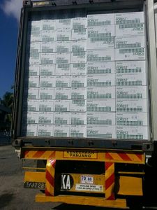 Mousse de fleurs humide, de luxe, dur, motifs floraux, 60%, pour tige de fleurs moyennes ou dures, vente en gros, nouvelle collection - Product Image 4