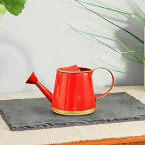 Hot Sale Prices New Design <b>garden</b> watering can water bottle Iron metal Finished water can Indian Handmade - Product Image 3