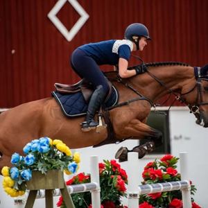 Almohadilla de sillín inglesa personalizada de alta calidad, Material acolchado transpirable suave, almohadillas de sillín de diseño duraderas y elegantes - Product Image 3