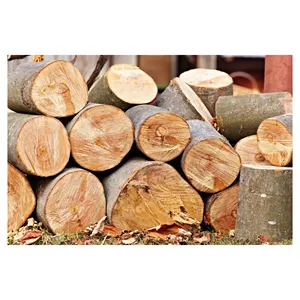Bois de chauffage de qualité séché au four/bûches de bois de chauffage de chêne le moins cher