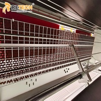 Équipement de cage d'élevage au sol de type H automatique pour 10 000 poulets de chair en élevage en Indonésie