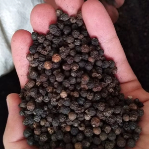 Producto agrícola BLACKPEPPER 10-25Kg por caja de Star Laboratories Indonesia - Product Image 1