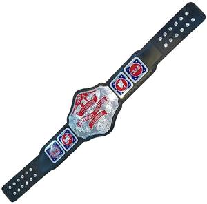 High Quality Custom Design <b>Wrestling</b> Championship <b>Belt</b> Premium Leather Title for Martial Arts Clothing - Product Image 1