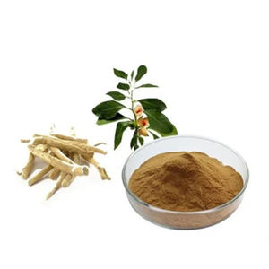 Suplementos en polvo de raíz de Ashwagandha orgánica OEM Potente 2.5% 5% Withanolides Solvente de hierbas de grado alimenticio Hierba cultivada en estado silvestre - Product Image 6