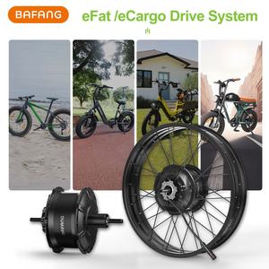 Kit <span class=keywords><strong>moteur</strong></span> de moyeu <span class=keywords><strong>arrière</strong></span> <span class=keywords><strong>Bafang</strong></span> H550 RMG062.1000.DC <span class=keywords><strong>1000W</strong></span> 48V 175mm OLD pour vélo à pneus larges de 20 pouces et 26 pouces, type cassette - Product Image 6