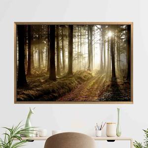 Tableau sur toile Chemin dans la forêt au coucher du soleil : Décoration murale naturelle imprimée, 1P : encadré or - Product Image 1