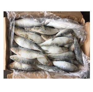 สินค้าขายดี ปลาซาร์ดีนแช่แข็ง มีสินค้าในสต็อก - Product Image 4