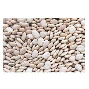 Fournisseur de gros de haricots de Lima en vrac avec livraison rapide - Product Image 5