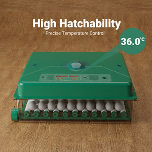 अभिनव कबूतर अंडे इनक्यूबेटर आर्द्रता और तापमान नियंत्रण, सर्वोत्तम पेशकश - Product Image 2