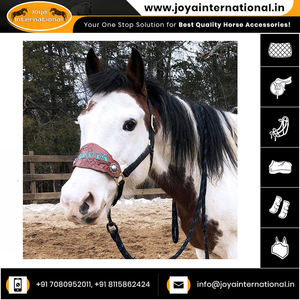 Noseband personalizado Bronc floral con cabestro de nailon Premium para caballos Comprar productos para caballos - Product Image 6