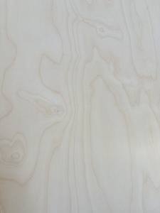 Alta calidad 1220mm X 2440mm Grano de madera Núcleo de goma Madera contrachapada de abedul Ecológico de alto grado E0 E1 Pegamento para muebles Vietnam - Product Image 4