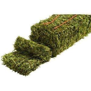 Alimento para animales de alfalfa de heno de hierba Rhodes de alta calidad a un precio económico para Comida para peces de cerdo y caballo - Product Image 2