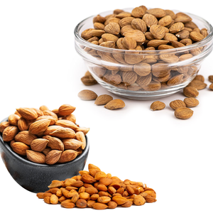 Apricot Kernel | ฟาร์ม-การประมวลผลสำหรับการใช้งานระดับมืออาชีพ - Product Image 3