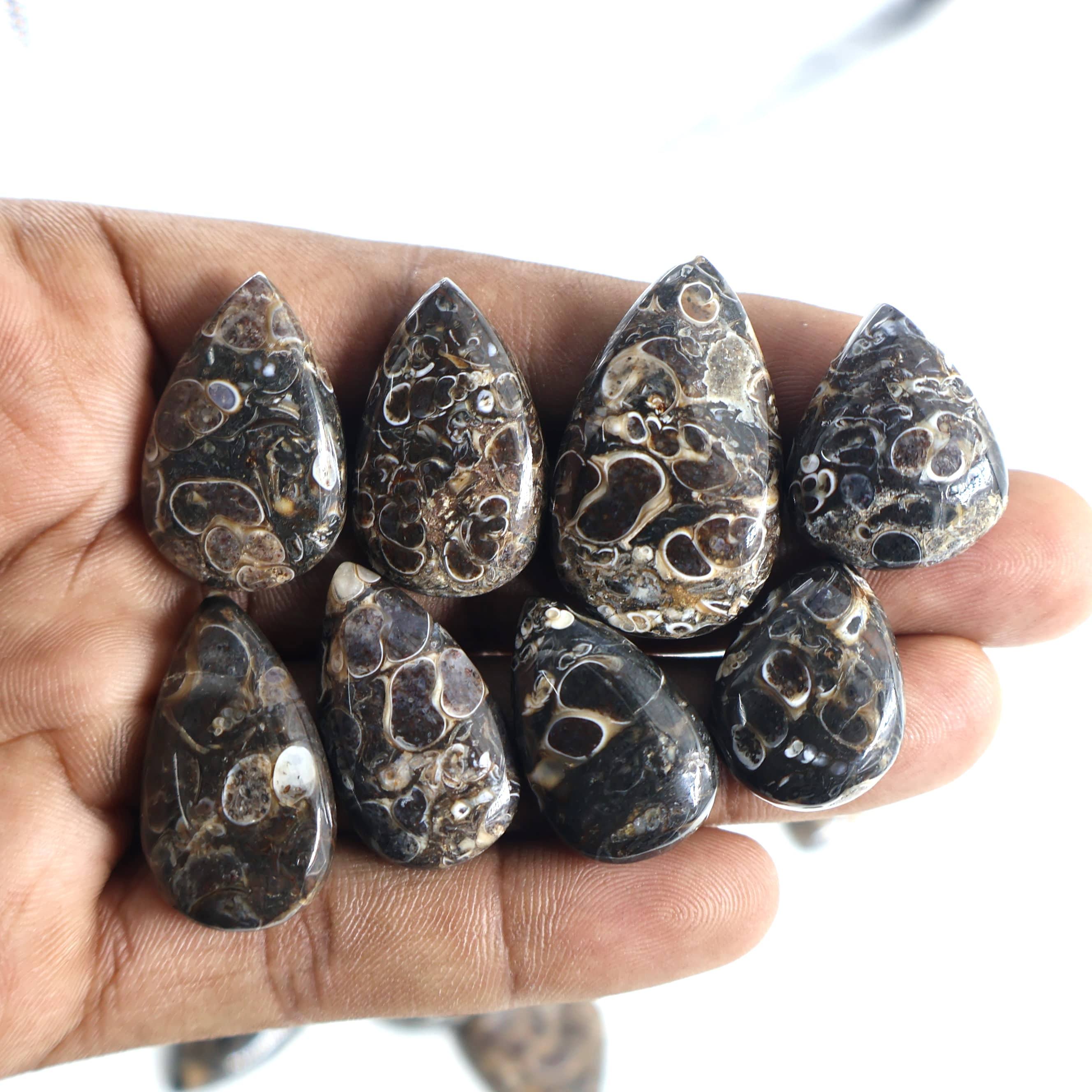 เห็นเป็นภาพ